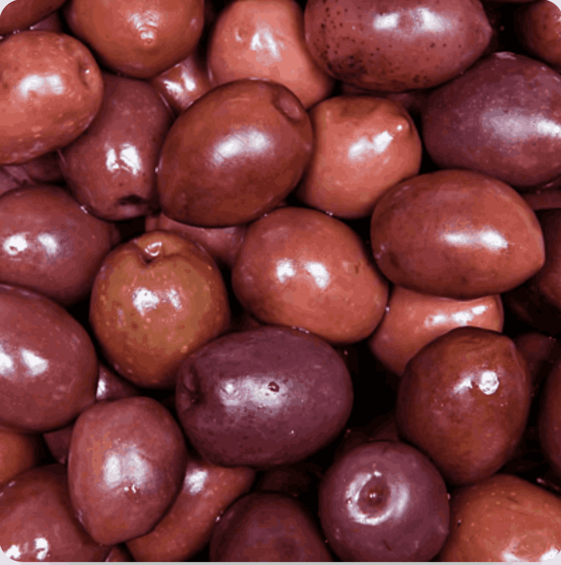 Black Greek Olives