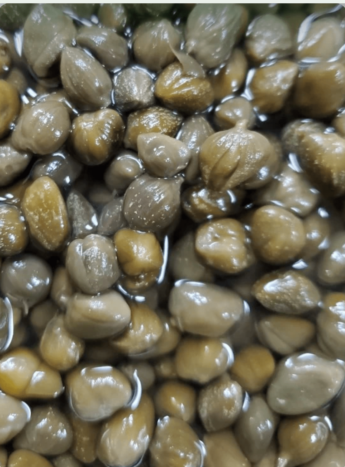 Capers Non pareilles