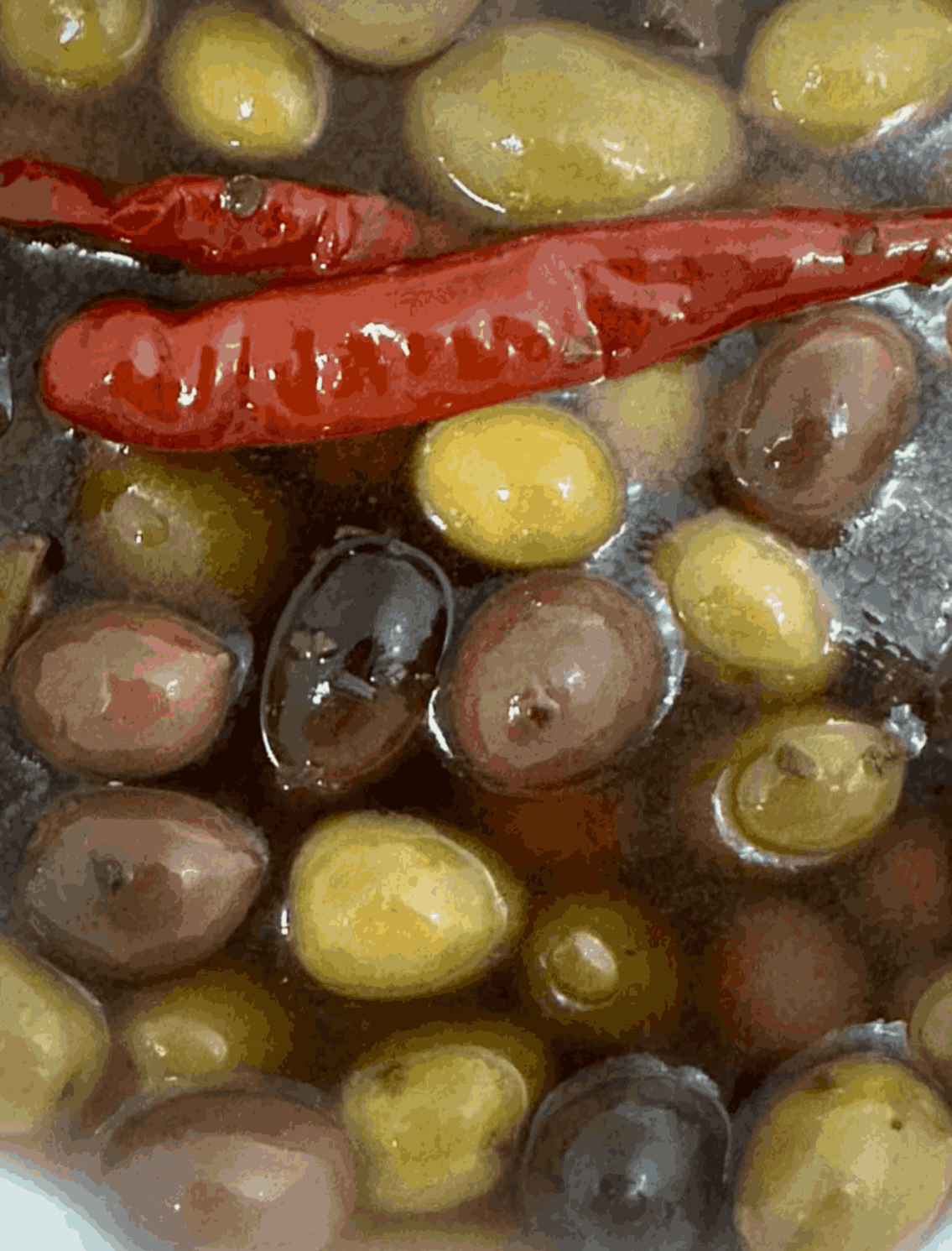 Exotic Olive Mix