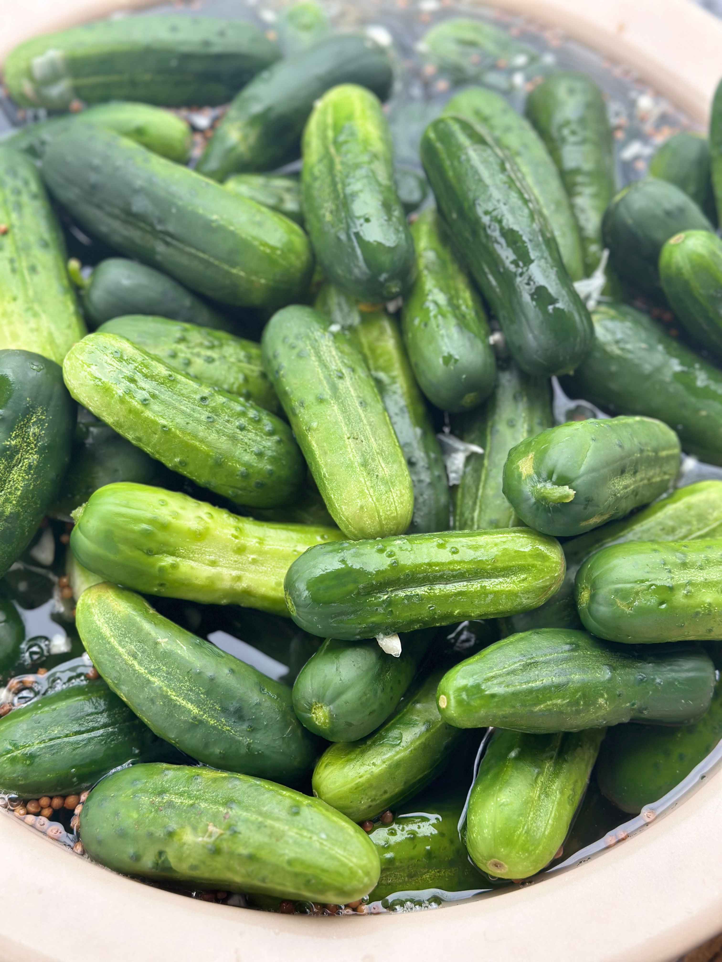 Pickles Monthly Subscriptions
