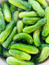 Half Sour Pickles