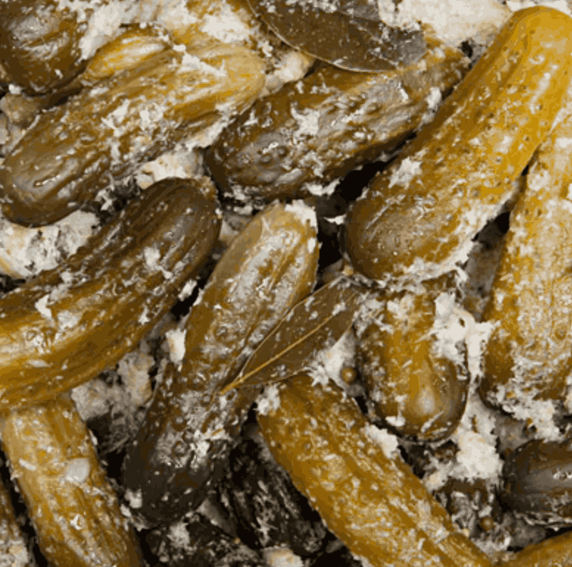 Horseradish Pickles