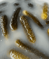 Horseradish Pickles