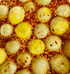 Hot & Spicy Sour Green Tomatoes