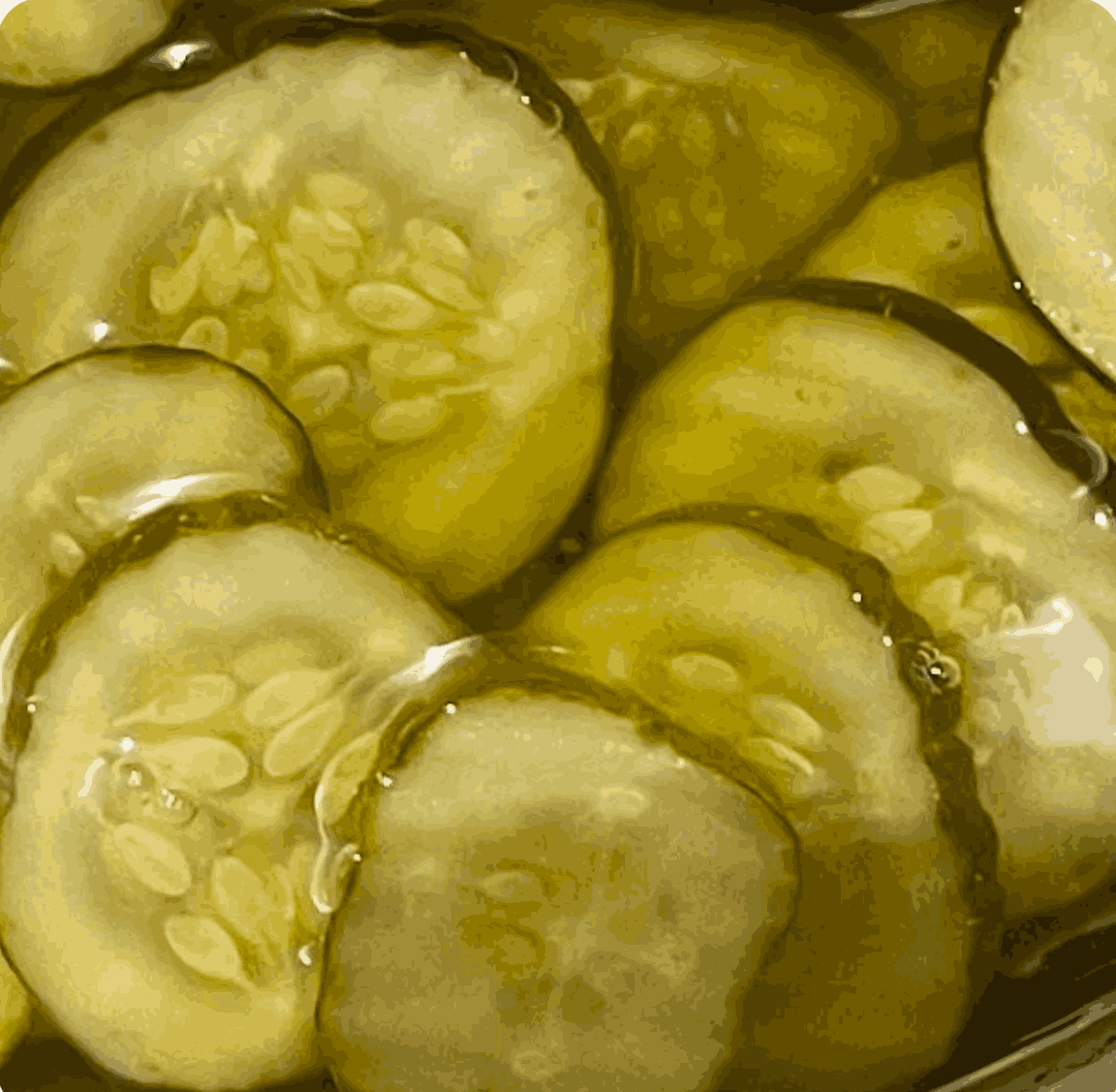 Kosher Dill Pickle Chips