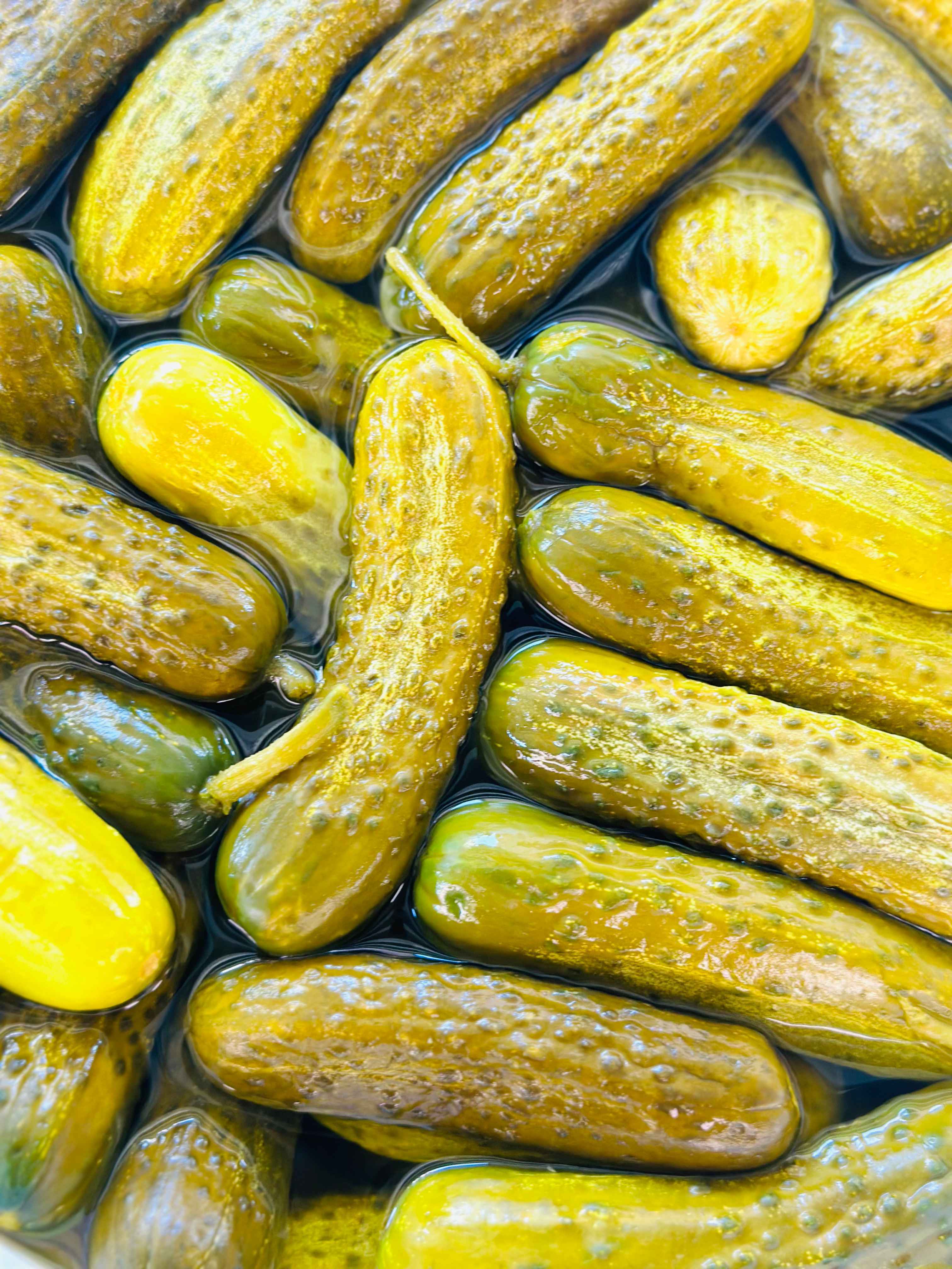 Kosher Dill Pickles