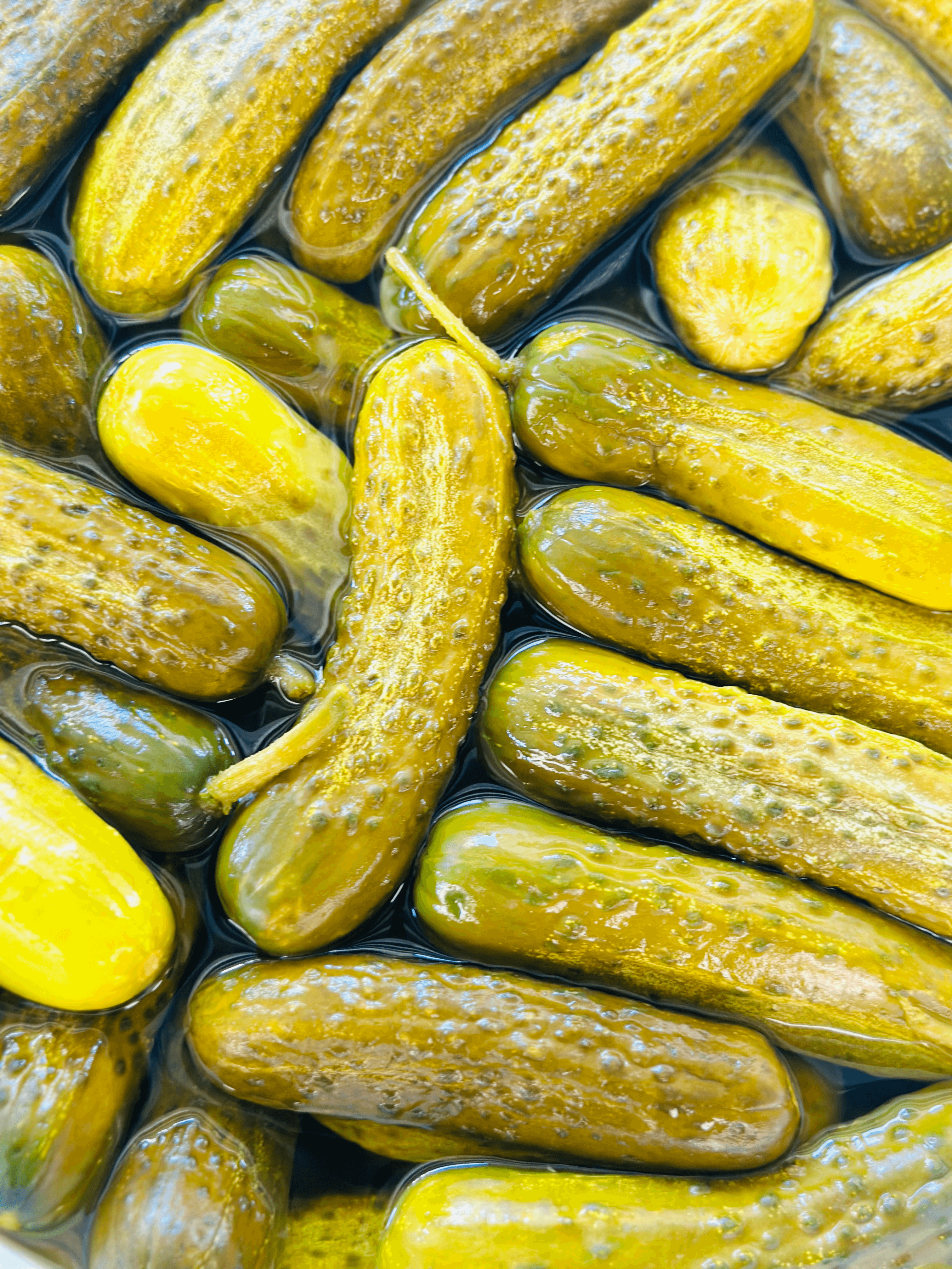 Kosher Dill Pickle Chips