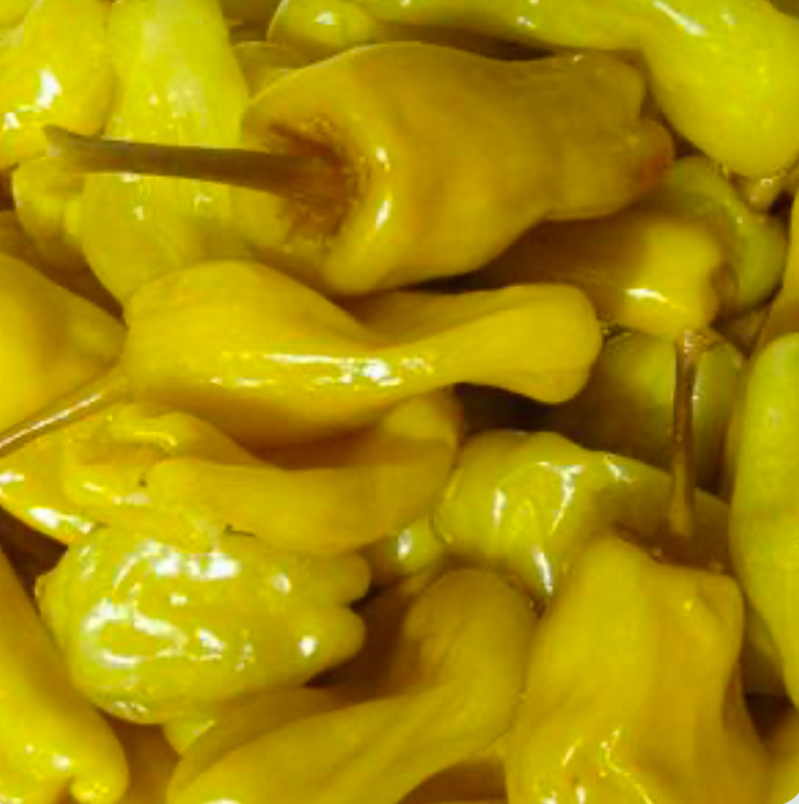 Pepperoncini