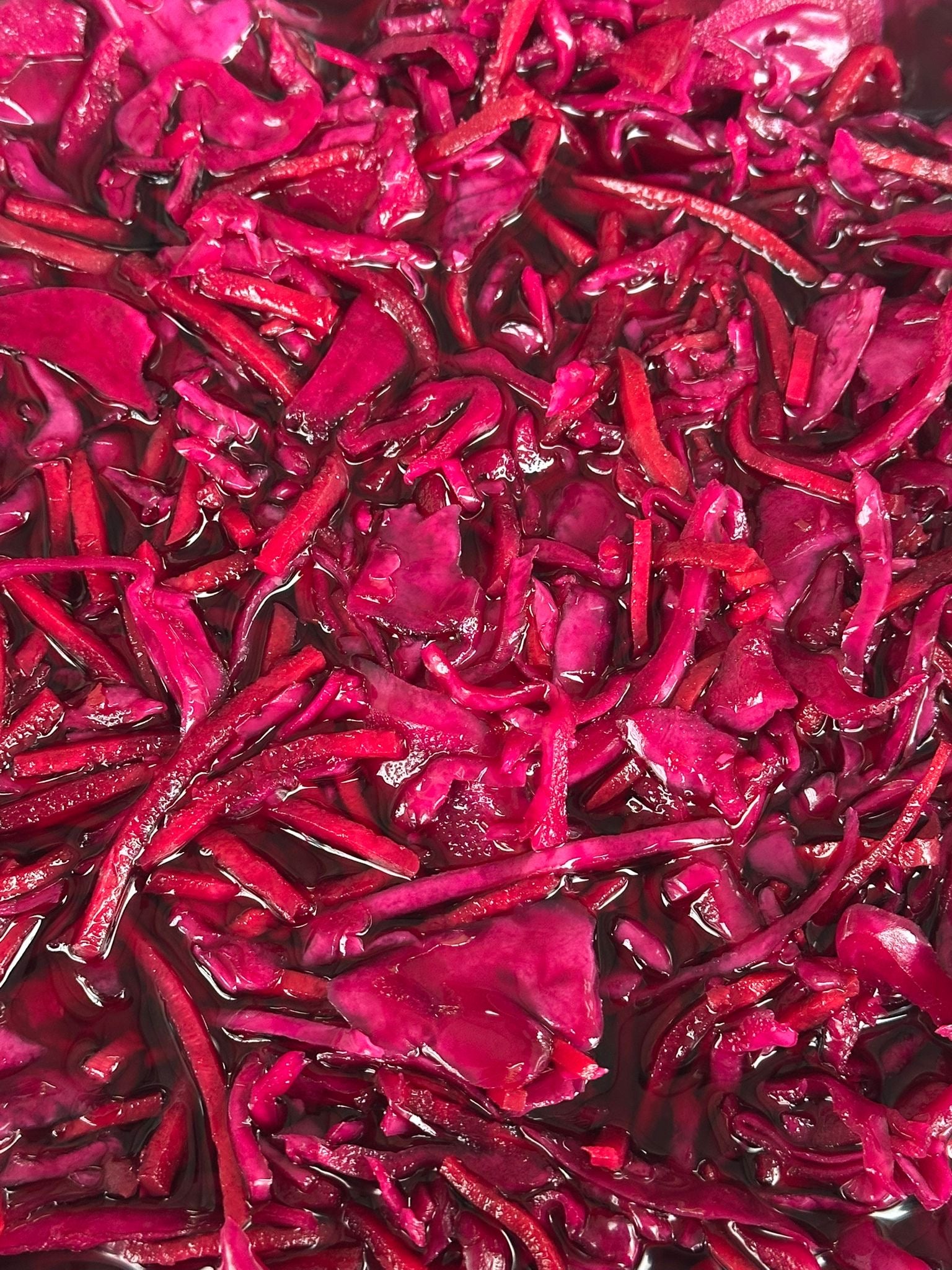 Pickled Cabbage and Carrots