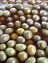 Whole Castelvetrano Olives